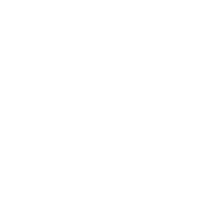 Holden White Logo